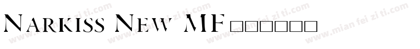 Narkiss New MF字体转换